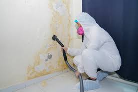 Best Commercial Mold Inspection in Pink, OK